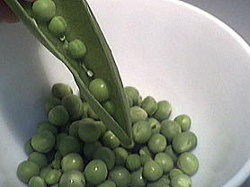 petit pois
