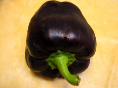 Poivron noir