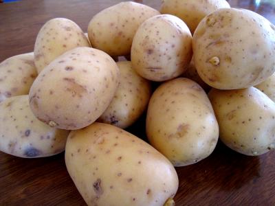pommes de terre