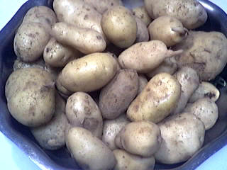 pommes de terre