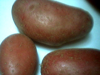 pommes de terre