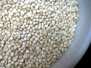 Photo : graines de quinoa