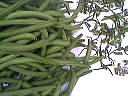 Ingrédients pour la recette : Stérilisation des haricots verts