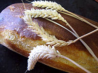 Recette Pain au gluten