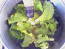 Salade de haricots blancs au thon - 8.1