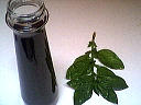 Ingrédients pour la recette : Vinaigre au parfum de basilic