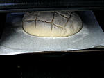 Pain de campagne - 14.1