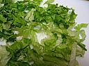 Salade batavia - 1.3