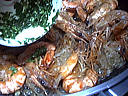 Salade tiède de gambas à la cancoillotte - 11.1