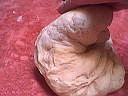 Pain aux pommes - 5.1
