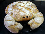Pain blanc et son crabe - 15.2