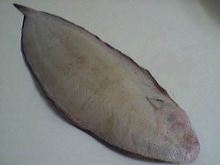 Sole côté aveugle