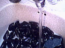 Moules à la crème - 4.1