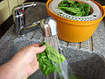 Sauce verte pour poisson - 1.2