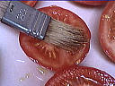 Tomates aux noisettes - 1.2