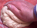 Pain viennois - 6.3