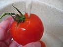 Tomates-cerises à la mozzarella - 2.1