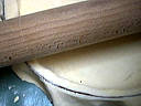 Quiche au livarot et aux noisettes - 6.2