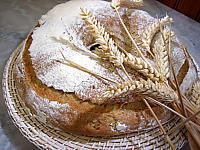 Recette Pain en couronne à la poolish
