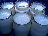 lait entier : Pots de yaourt