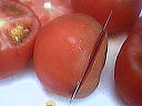 Tomates soufflées au fromage - 2.1