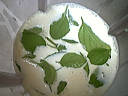 Quiche aux brocolis et saumon - 4.2