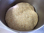 pâton