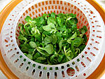 Salade de mâche aux foies de volaille et aux pommes - 3.1