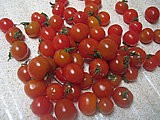 Grappe de tomates cerise