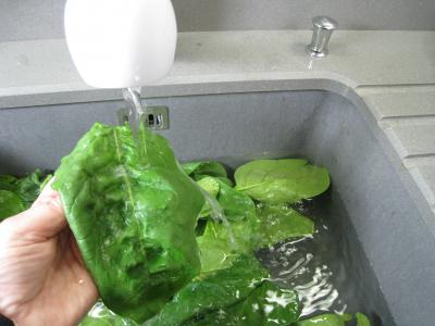 lavage épinards