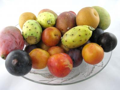 fruits