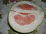 pamplemousse