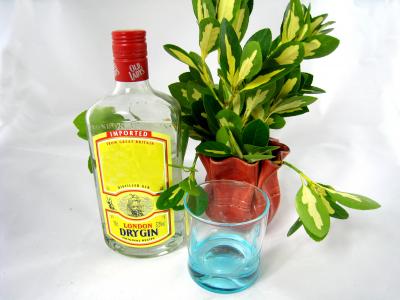 gin