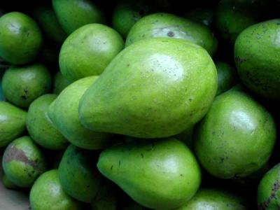 Photo : Etalage d'avocats