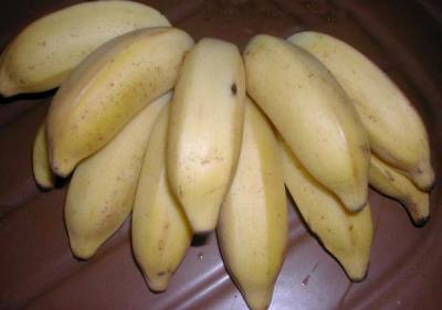 bananes figues ou mignonnes