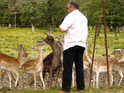 biche