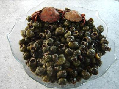 bigorneaux