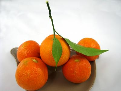 Photo : Assiette de clémentines
