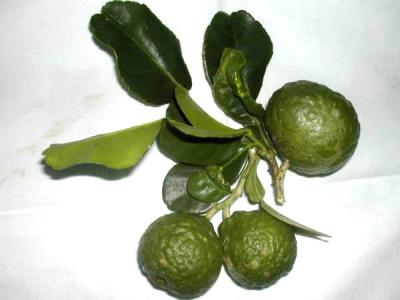 combava