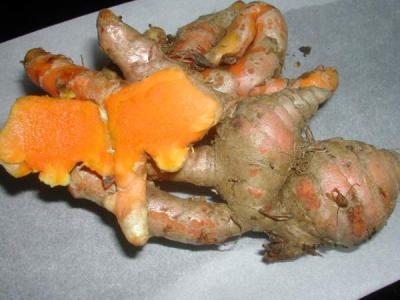 curcuma
