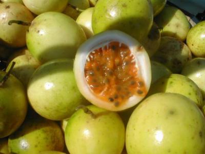fruits de la passion