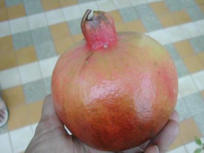 grenade
