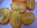 kumquat