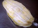 noyau de mangue