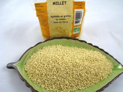 Photo : Le millet