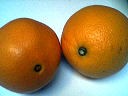 Navel