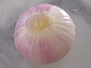 oignon rose
