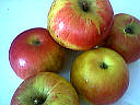 Pomme Idared