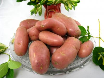 Pommes de terre