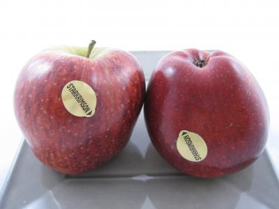 pommes starkrimson